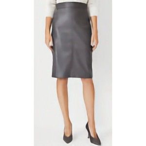Ann Taylor Seamed Faux Leather Pencil Skirt 10 Petite Alley Gray NWT Back Zip